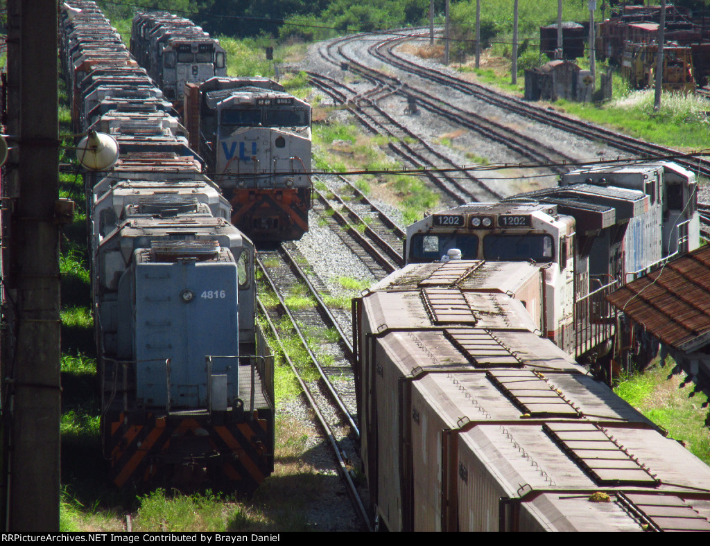 VLI 4816